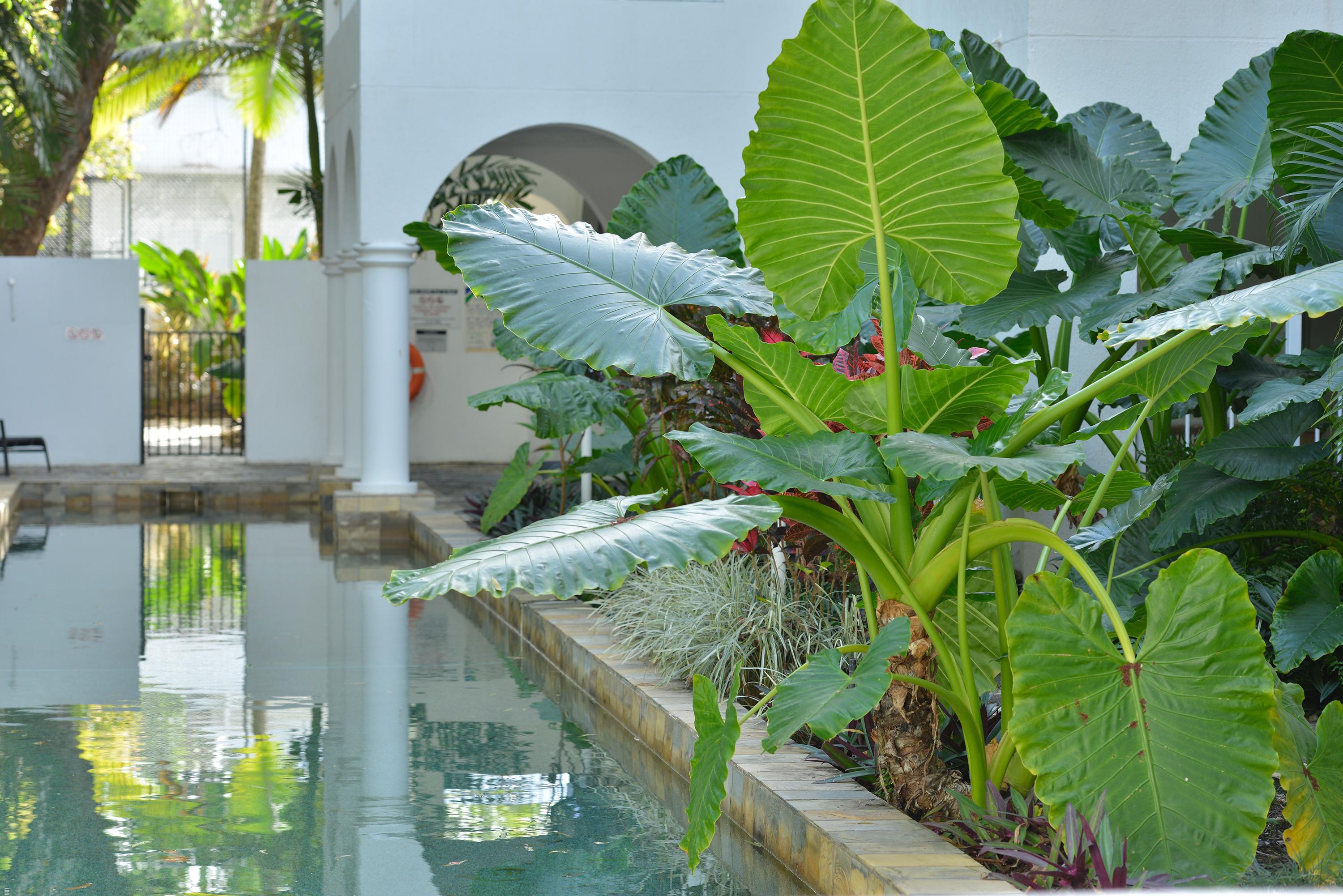 Mantra Portsea Hotell Port Douglas Exteriör bild
